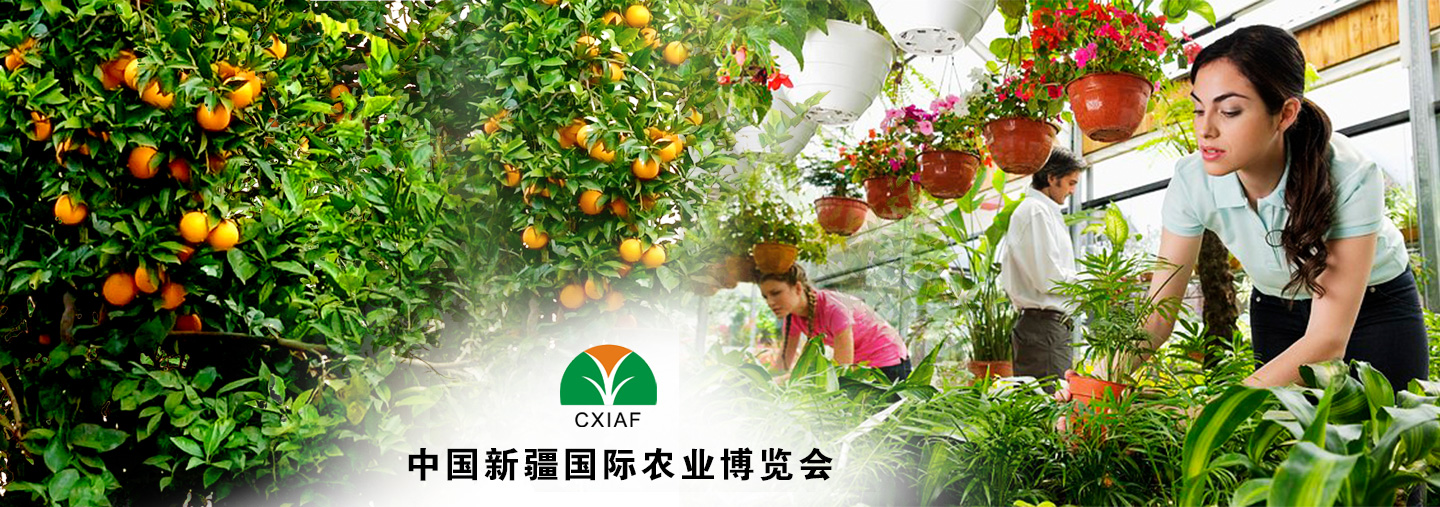 如何通過思創(chuàng) Desmodur Z4470 IPDI三聚體固化劑配制高固含量、低VOCs涂料